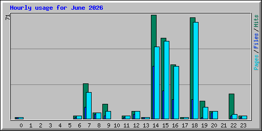 Hourly usage for June 2026